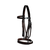 Gag Bridle (Gold Range)