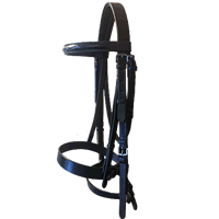 Gag Bridle  (Silver Range)