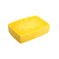 Sponge